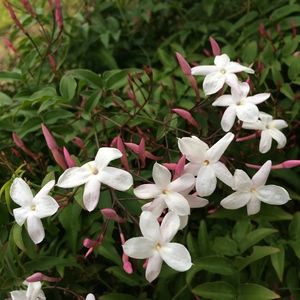 Meet your Posher, Kathryn